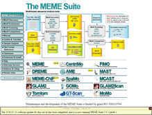 Tablet Screenshot of meme-suite.org